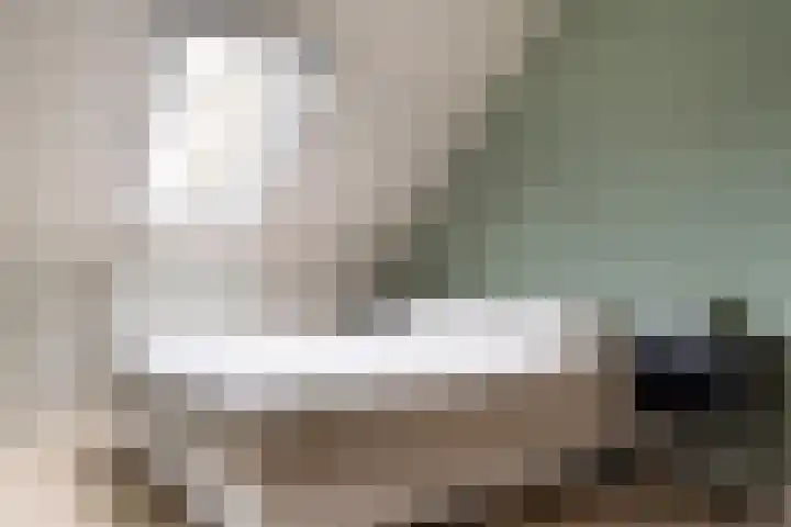 Sneeuwvink 31 Emmen thumbnail 31