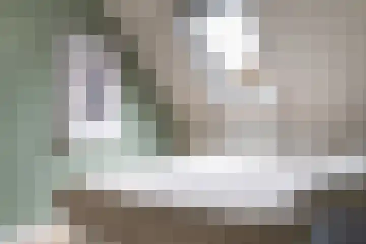 Sneeuwvink 31 Emmen thumbnail 33