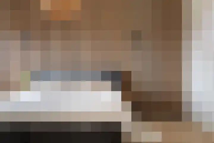 Sneeuwvink 31 Emmen thumbnail 34