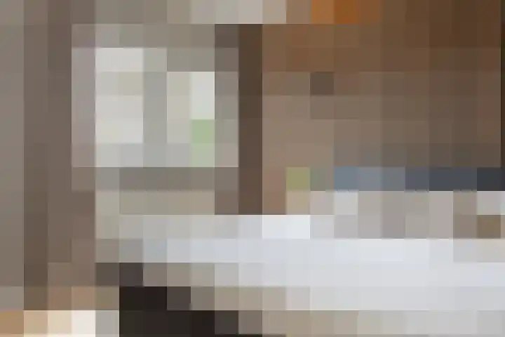 Sneeuwvink 31 Emmen thumbnail 35