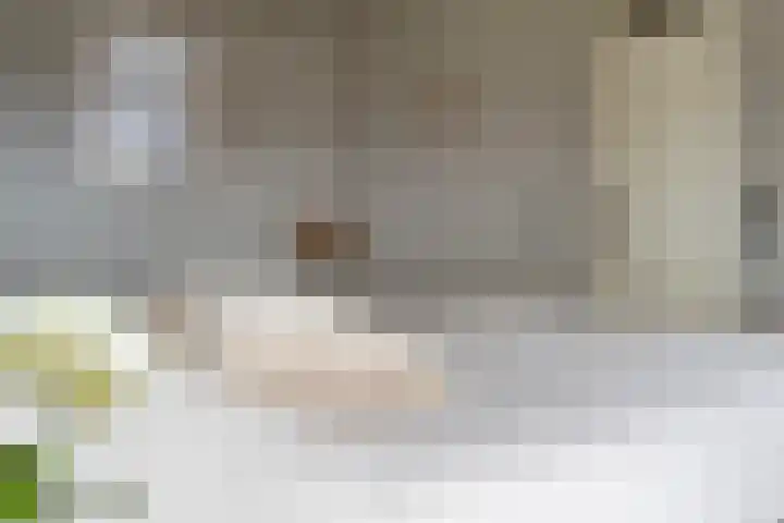 Sneeuwvink 31 Emmen thumbnail 36