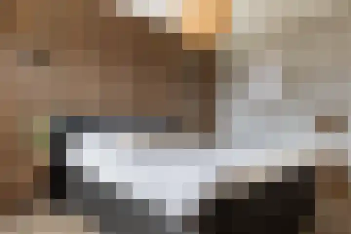 Sneeuwvink 31 Emmen thumbnail 37