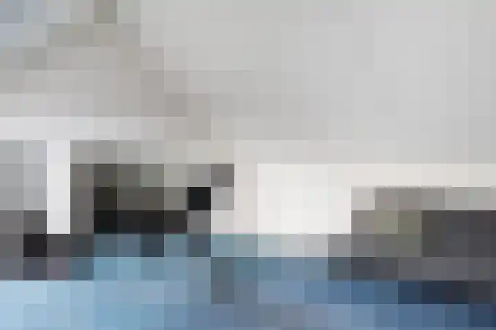Sneeuwvink 31 Emmen thumbnail 39