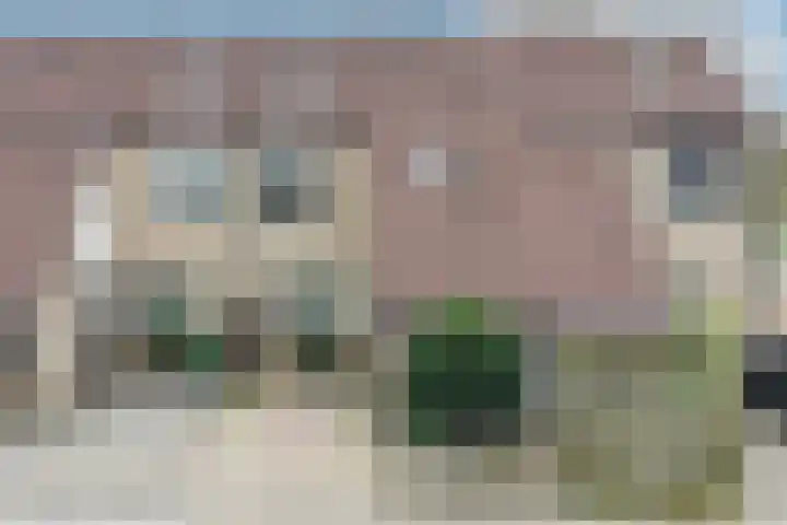 Sneeuwvink 31 Emmen thumbnail 4