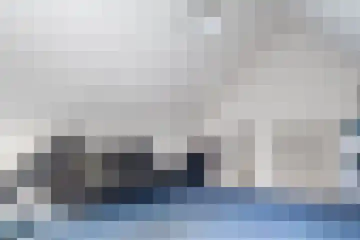 Sneeuwvink 31 Emmen thumbnail 41
