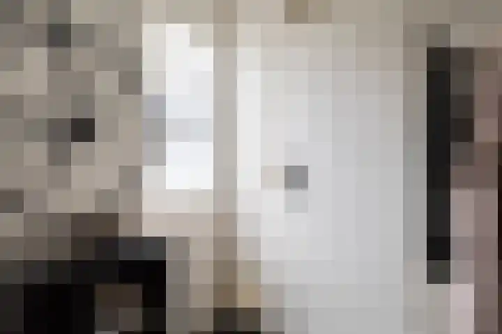 Sneeuwvink 31 Emmen thumbnail 44