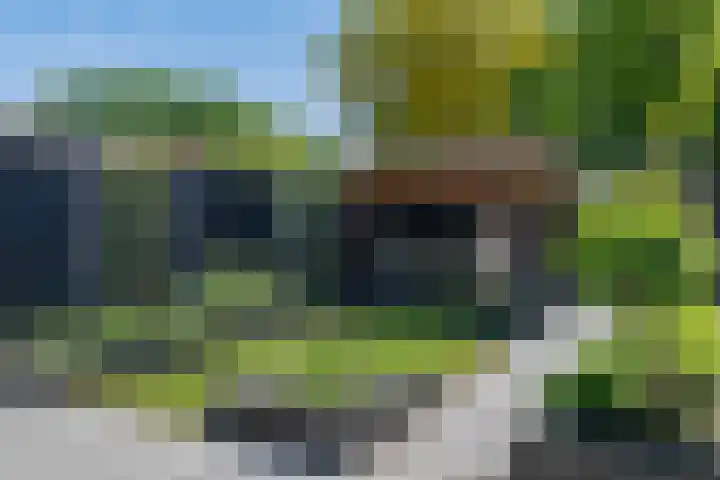Sneeuwvink 31 Emmen thumbnail 45