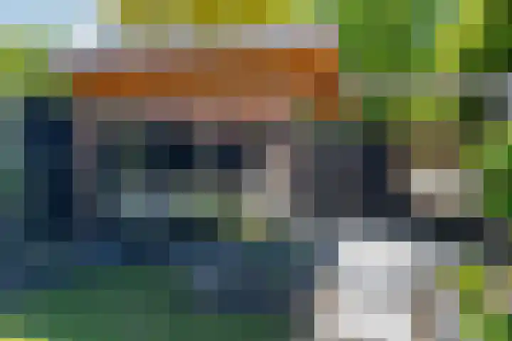 Sneeuwvink 31 Emmen thumbnail 47