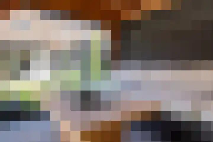 Sneeuwvink 31 Emmen thumbnail 48