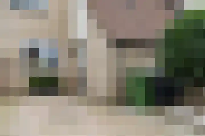 Sneeuwvink 31 Emmen thumbnail 5