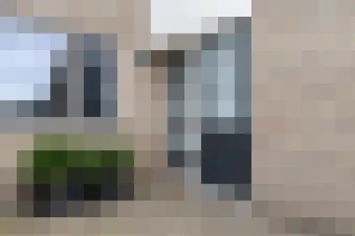 Sneeuwvink 31 Emmen thumbnail 6
