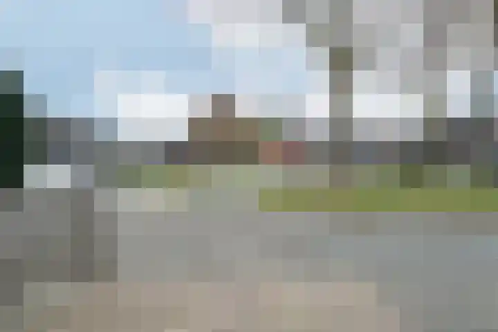 Sneeuwvink 31 Emmen thumbnail 7