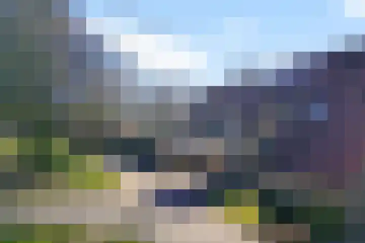 Sneeuwvink 38 Emmen thumbnail 30