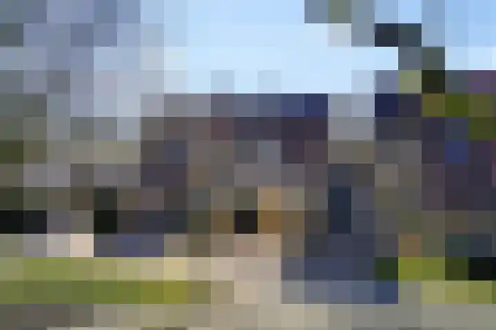 Sneeuwvink 38 Emmen thumbnail 31