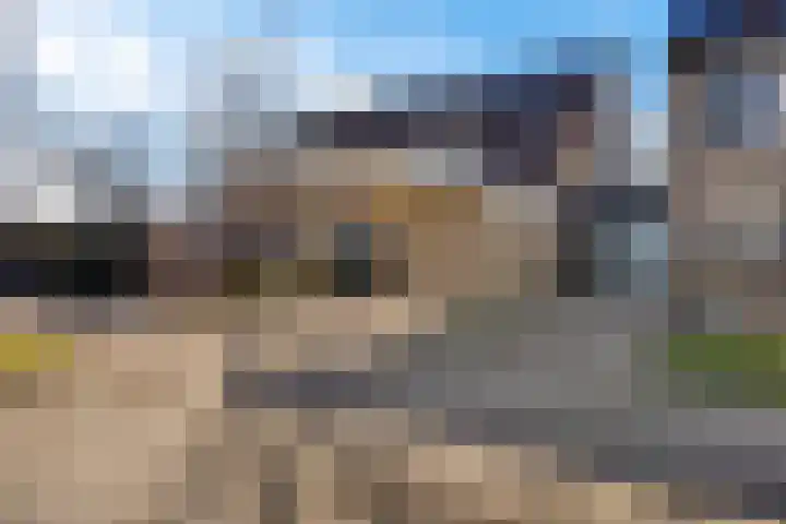 Sneeuwvink 38 Emmen thumbnail 32
