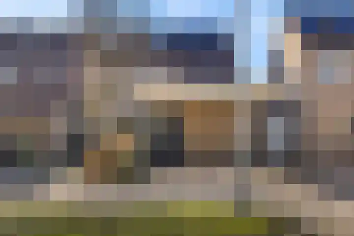 Sneeuwvink 38 Emmen thumbnail 33