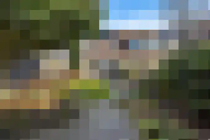 Sneeuwvink 38 Emmen thumbnail 36
