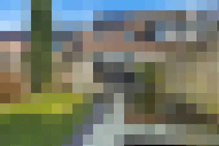Sneeuwvink 38 Emmen thumbnail 37