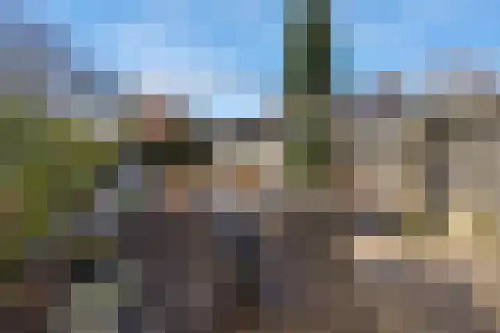 Sneeuwvink 38 Emmen thumbnail 38