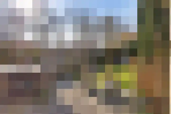 Sneeuwvink 38 Emmen thumbnail 39