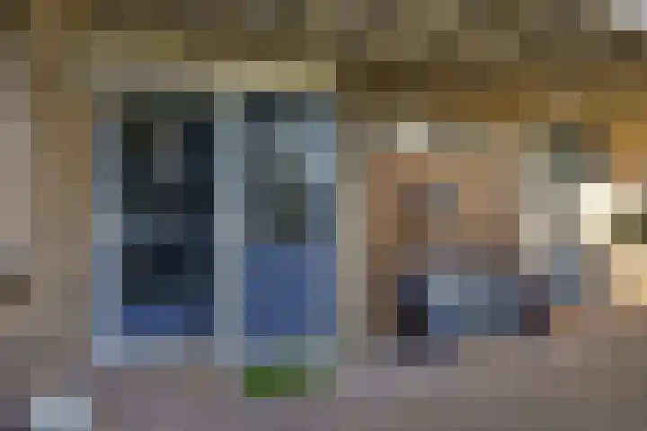 Sneeuwvink 38 Emmen thumbnail 4