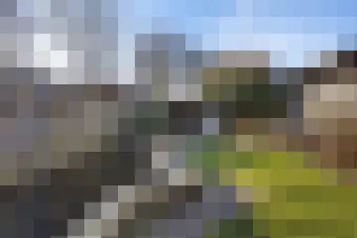 Sneeuwvink 38 Emmen thumbnail 40