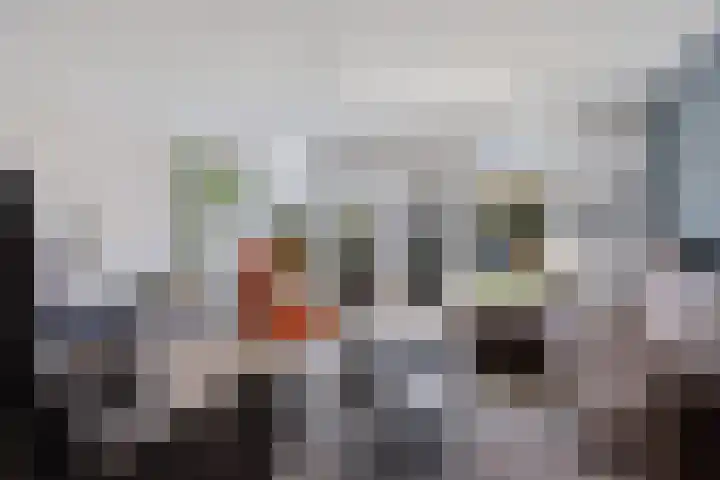 Sneeuwvink 38 Emmen thumbnail 8