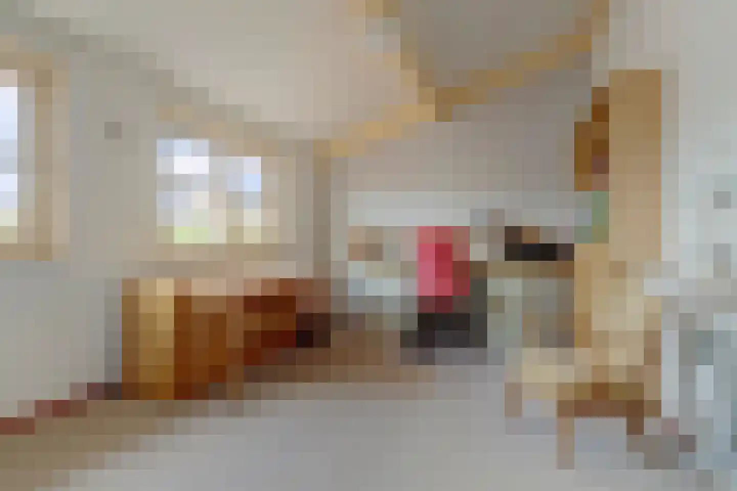 Sneeuwvlok 16 Elst thumbnail 22