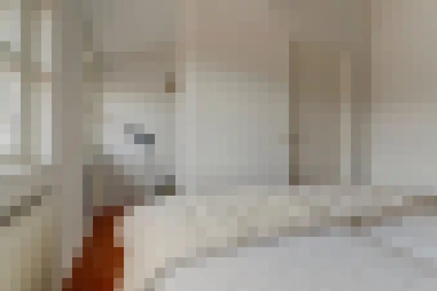 Sneeuwvlok 16 Elst thumbnail 25