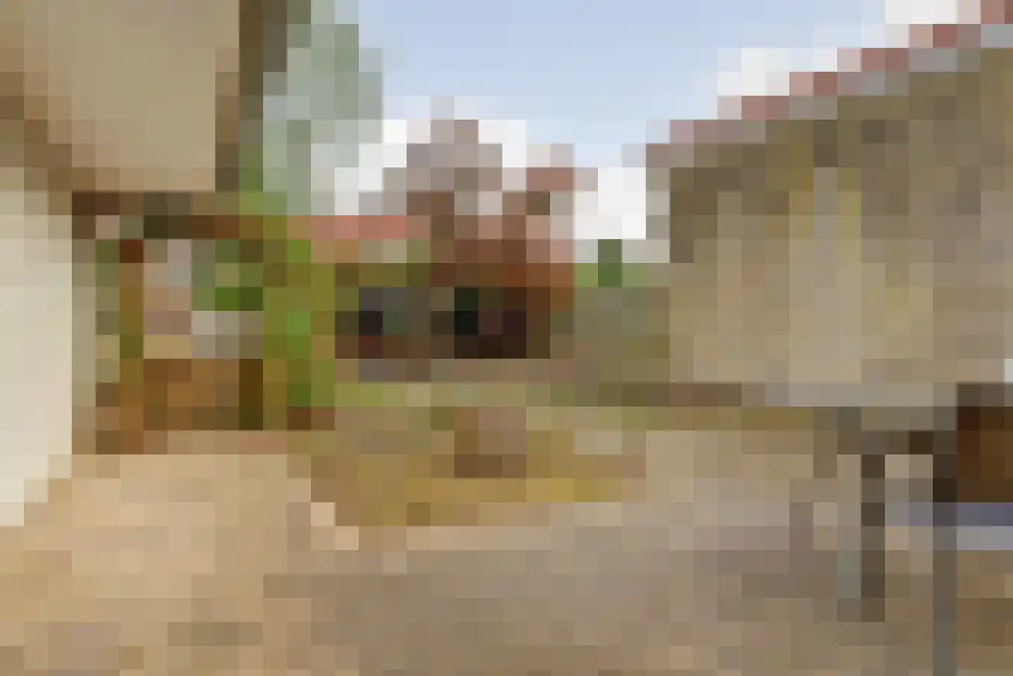 Sneeuwvlok 16 Elst thumbnail 26