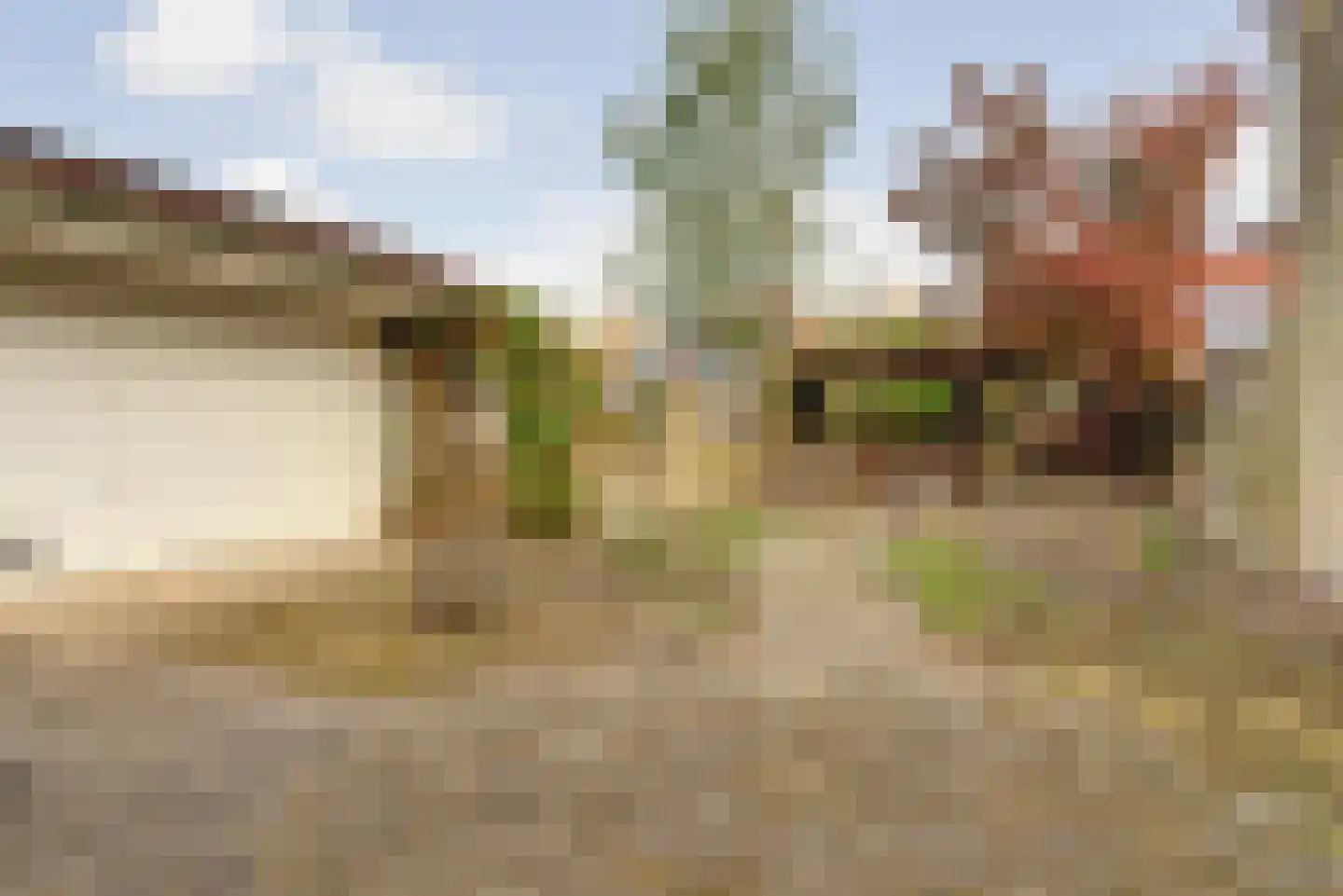 Sneeuwvlok 16 Elst thumbnail 28