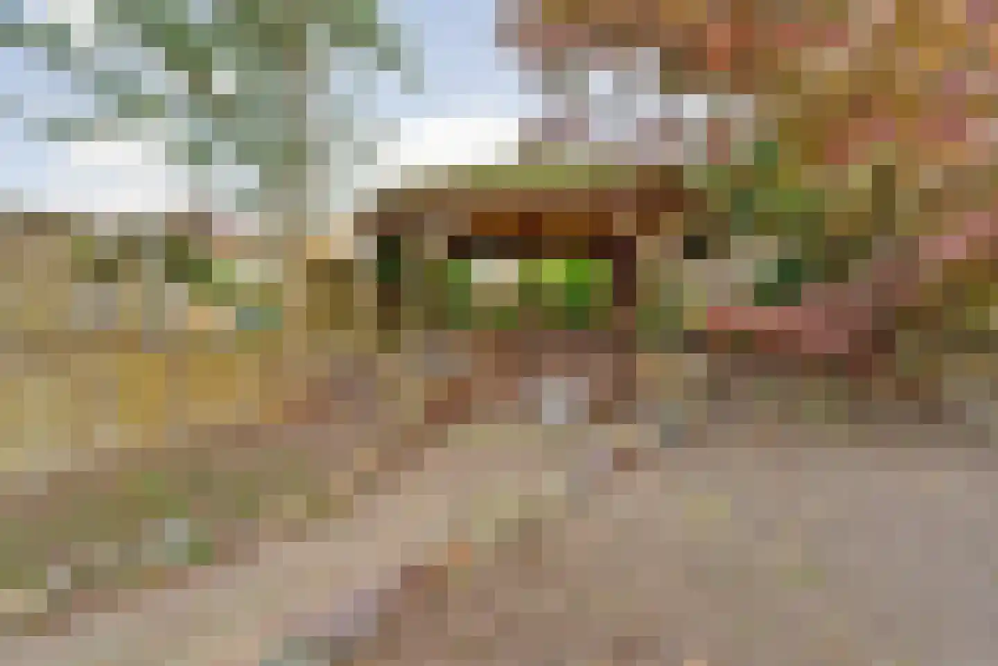 Sneeuwvlok 16 Elst thumbnail 29