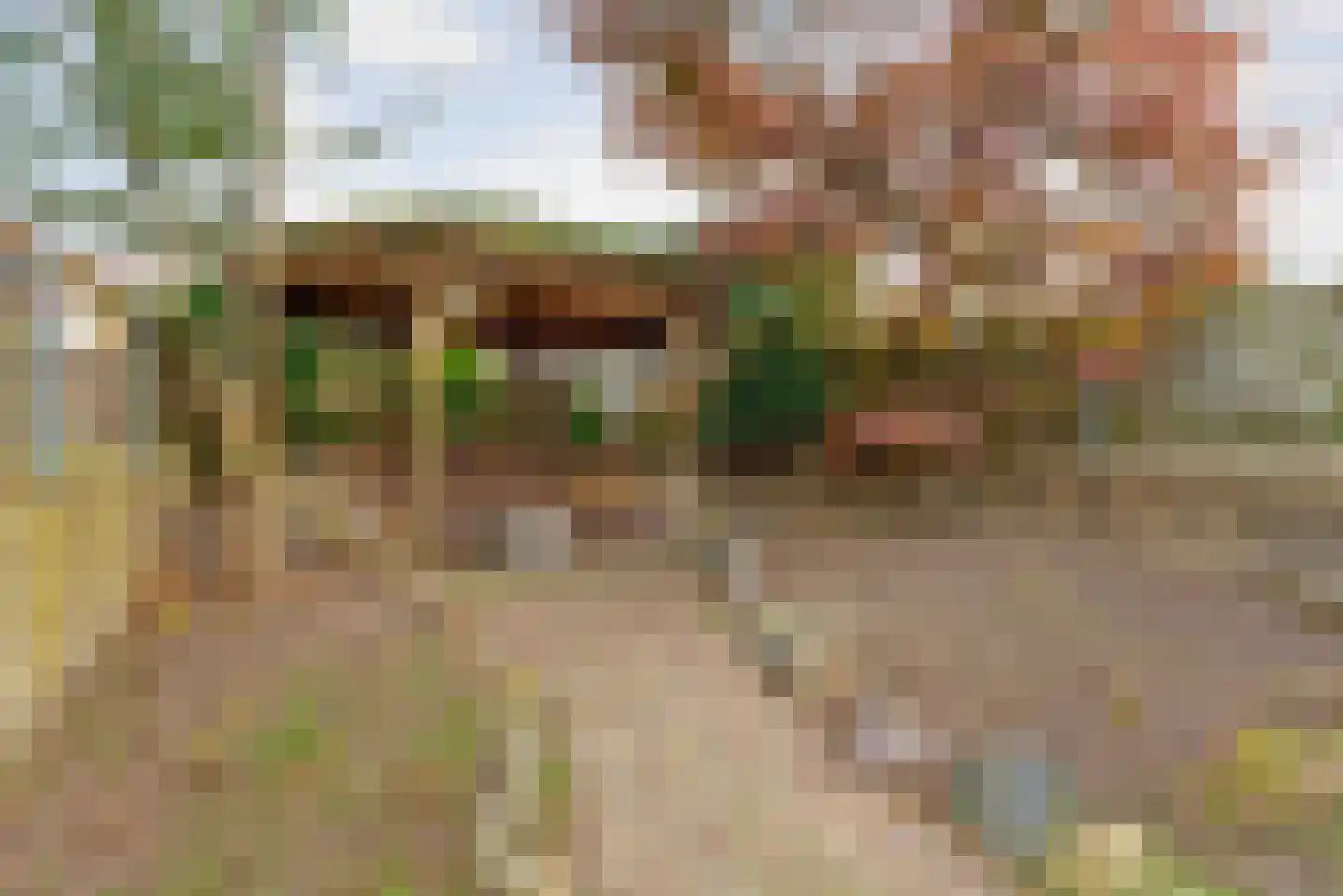 Sneeuwvlok 16 Elst thumbnail 30