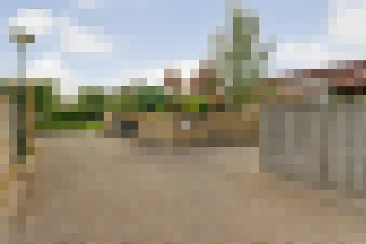 Sneeuwvlok 16 Elst thumbnail 32