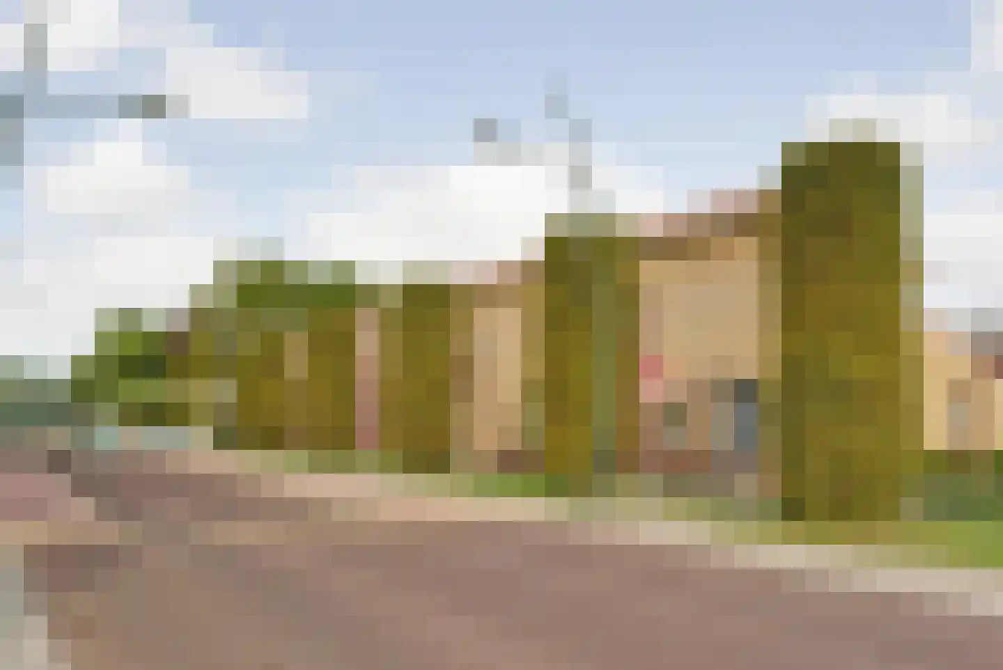 Sneeuwvlok 16 Elst thumbnail 33