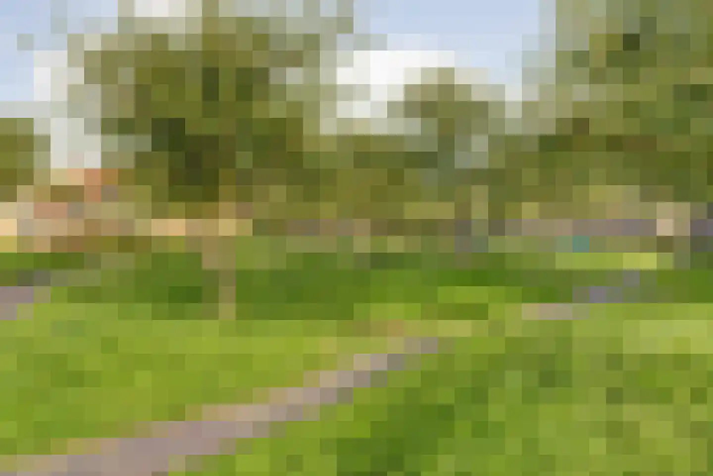 Sneeuwvlok 16 Elst thumbnail 34