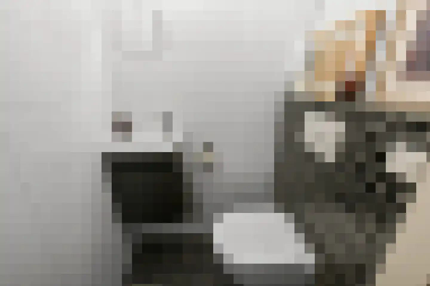 Sneeuwvlok 8 Assendelft thumbnail 19