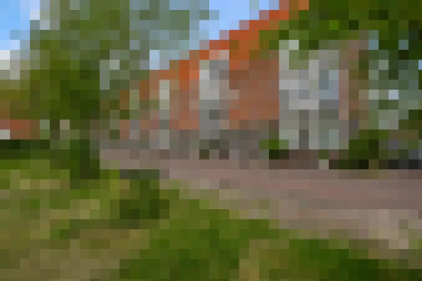 Sneeuwvlok 8 Assendelft thumbnail 28