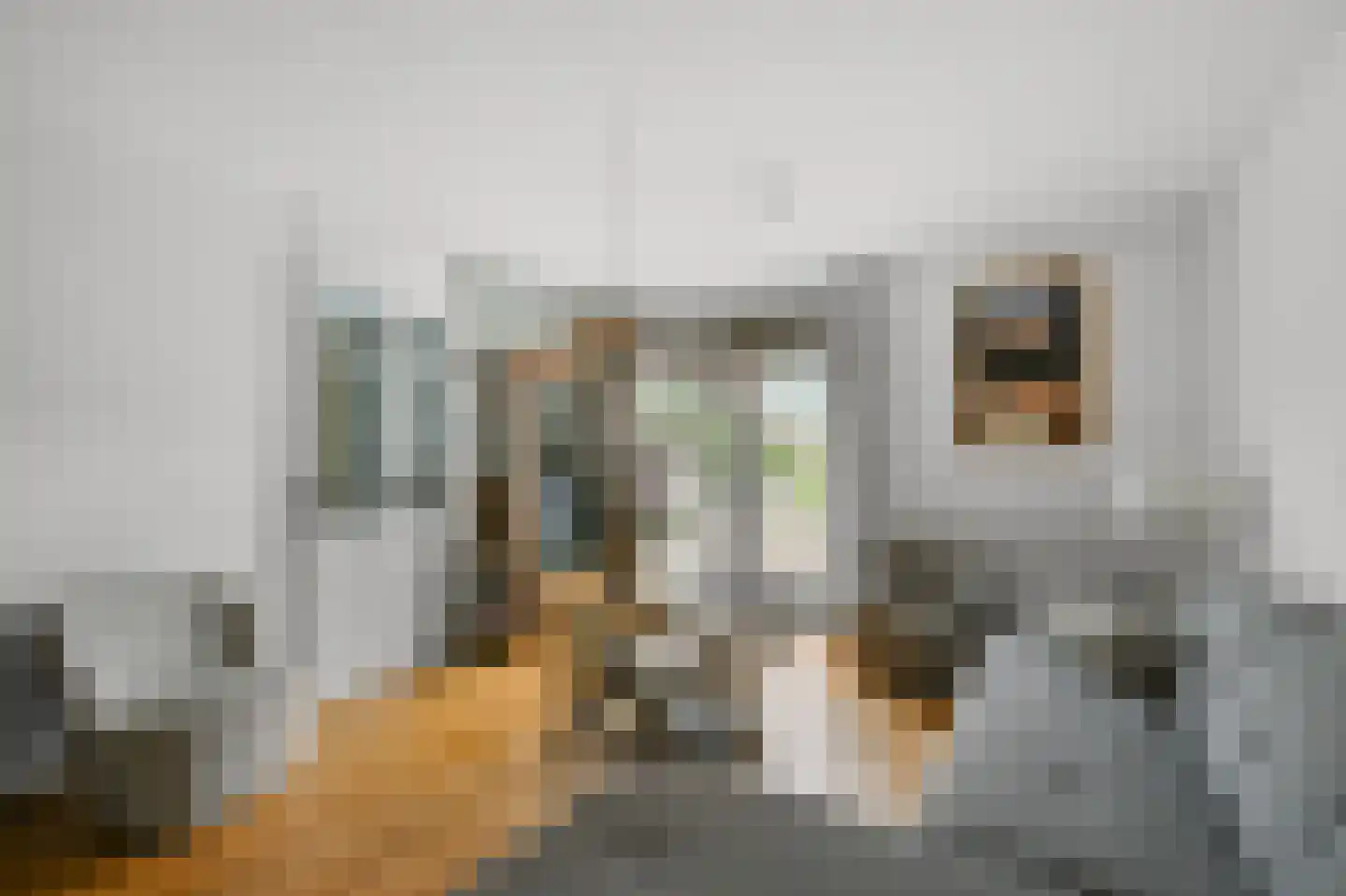 Sneeuwvlok 8 Assendelft thumbnail 4