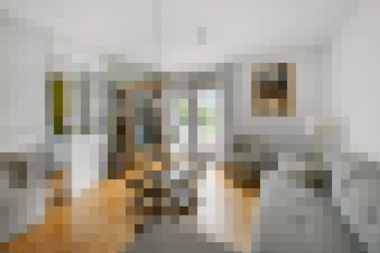 Sneeuwvlok 8 Assendelft thumbnail 7