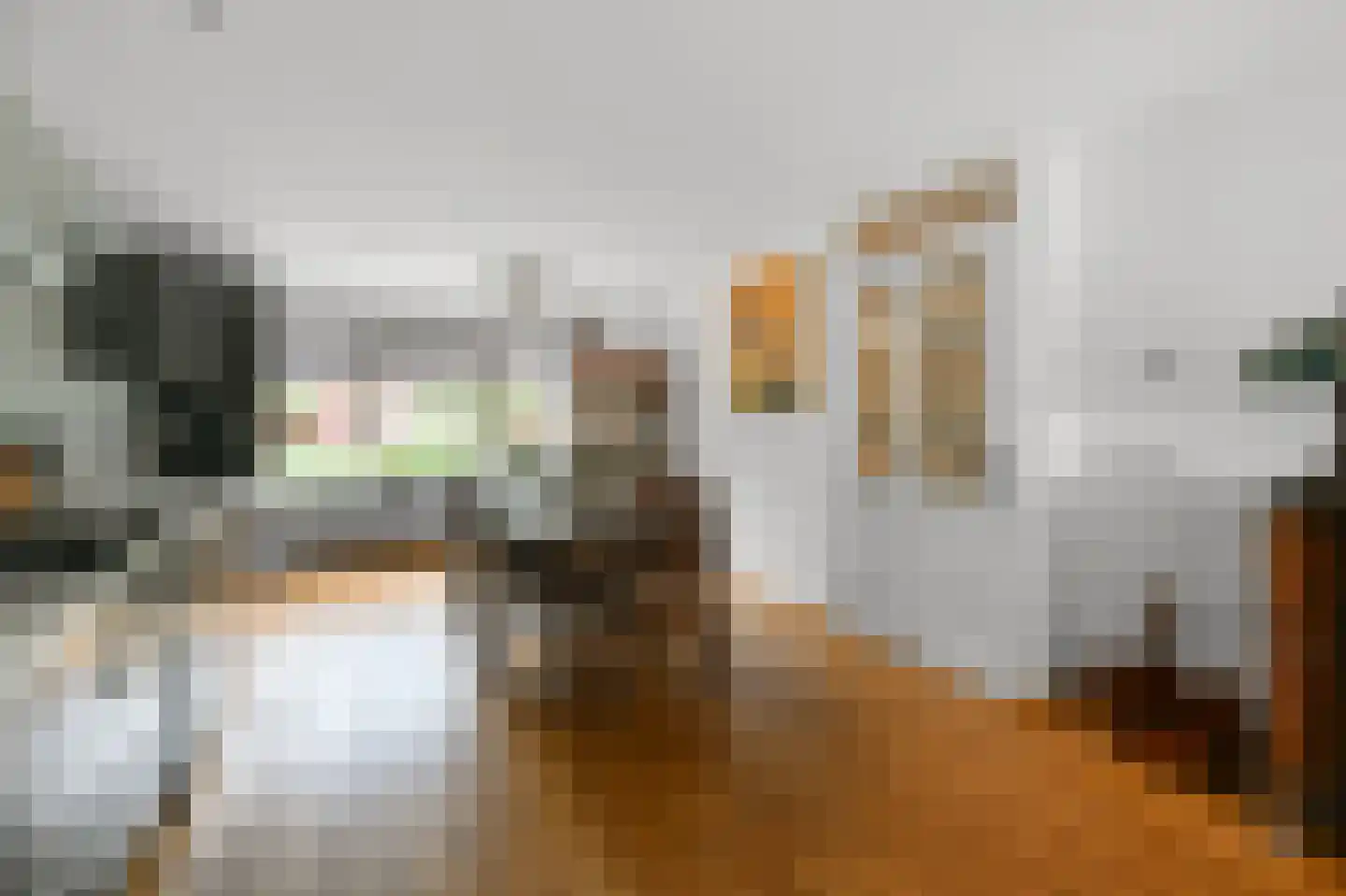 Sneeuwvlok 8 Assendelft thumbnail 8