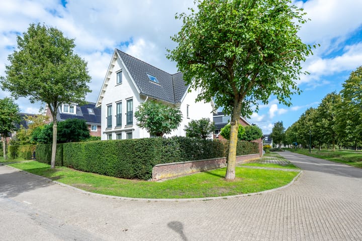 Sneeuwwater 13 dans Houten photo