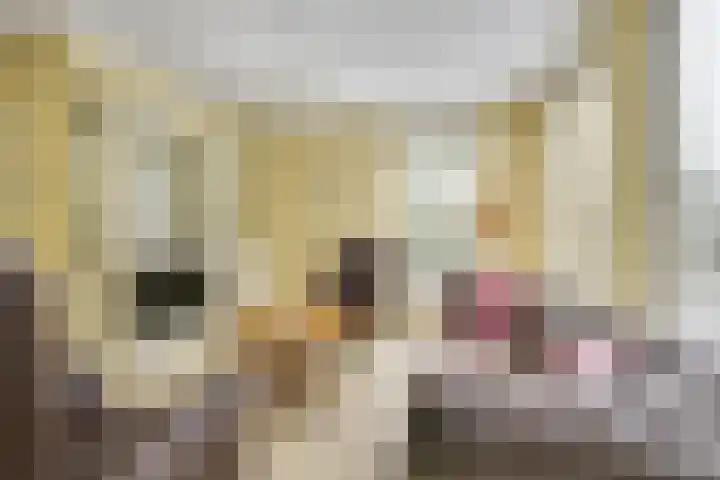 Sneeuwwater 13 Houten thumbnail 10