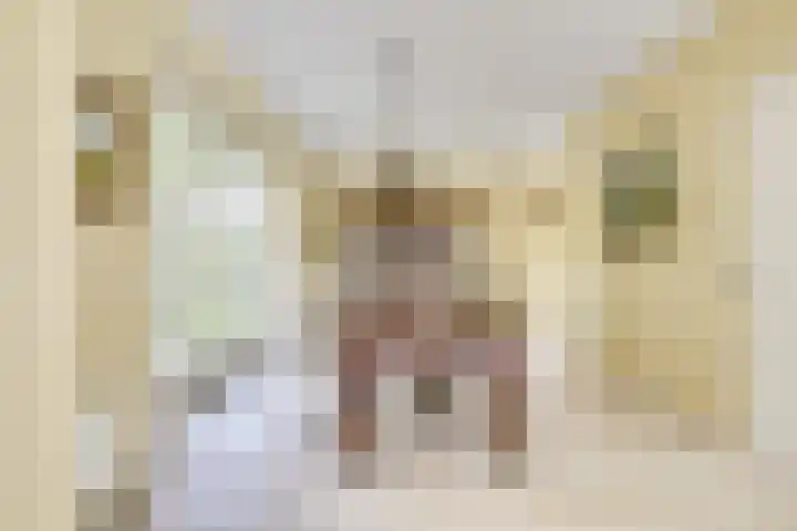 Sneeuwwater 13 Houten thumbnail 12