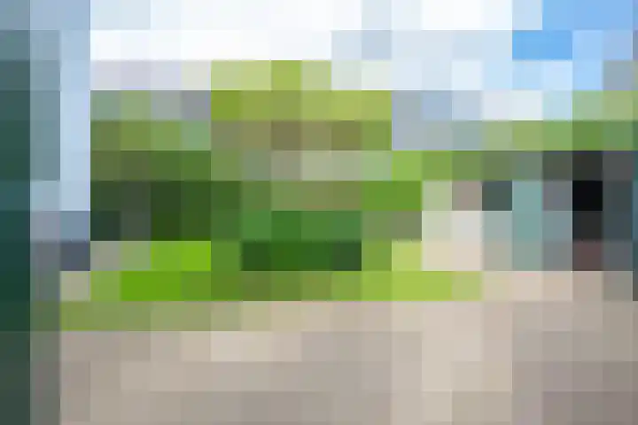 Sneeuwwater 13 Houten thumbnail 16