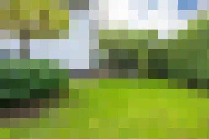 Sneeuwwater 13 Houten thumbnail 17