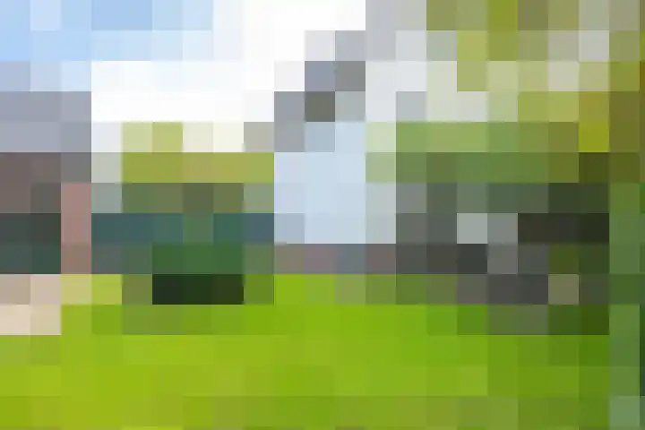 Sneeuwwater 13 Houten thumbnail 19