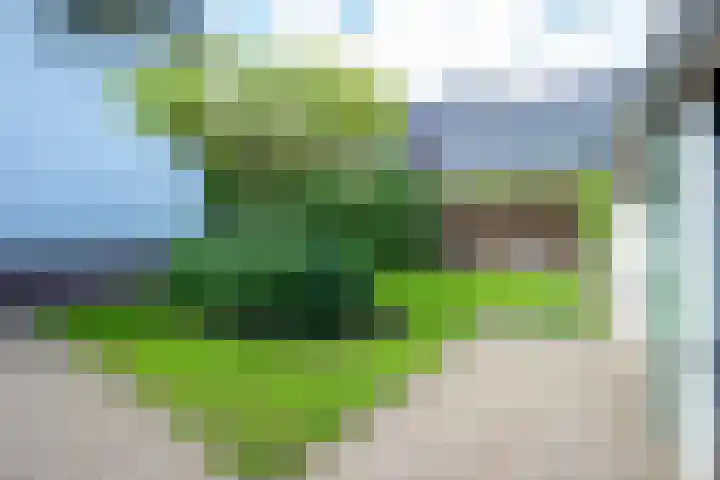 Sneeuwwater 13 Houten thumbnail 20