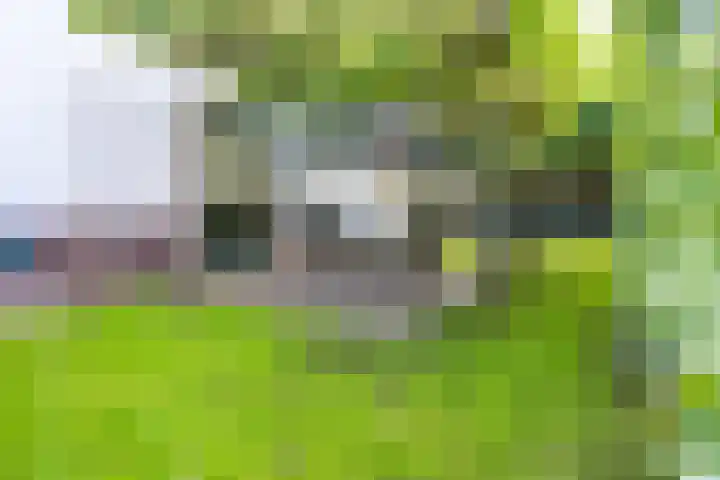 Sneeuwwater 13 Houten thumbnail 21