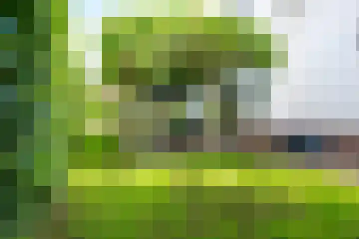 Sneeuwwater 13 Houten thumbnail 22